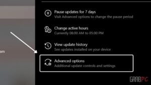 update and security advanced options settings